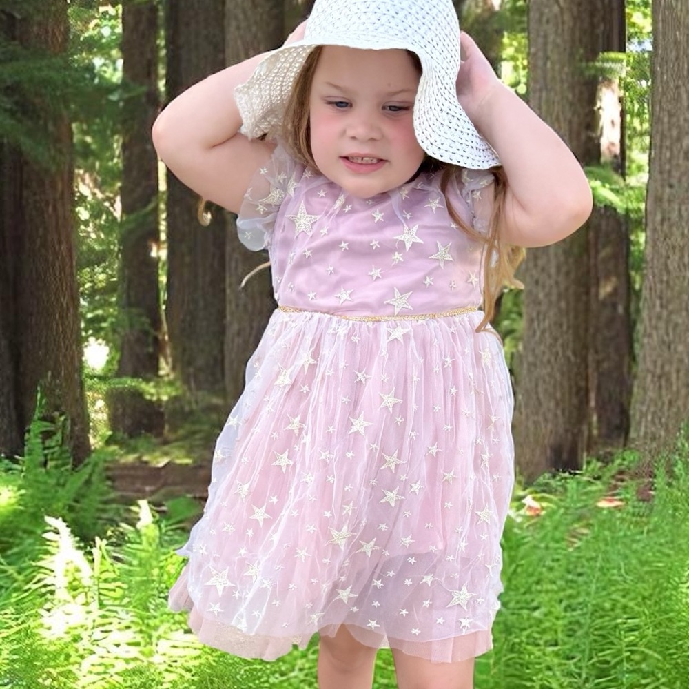 Popatu tulle and embroidered star dress size 5